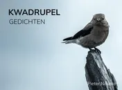 Omslag van KWADRUPEL
