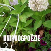 Omslag van KNIPOOGPOËZIE