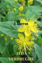 Omslag van 5 Sterren