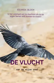 Omslag van De vlucht van de wijze raaf