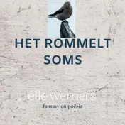 Omslag van HET ROMMELT SOMS