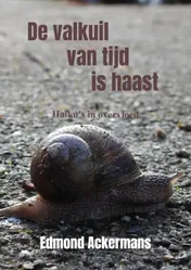 Omslag van De valkuil van tijd is haast
