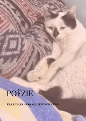 Omslag van POËZIE
