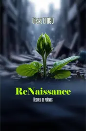 Omslag van ReNaissance