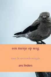 Omslag van een meisje op weg