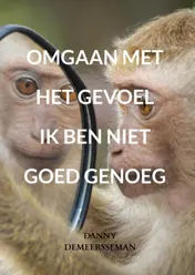 Omslag van Omgaan met het gevoel ik ben niet goed genoeg