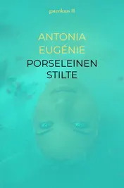 Omslag van PORSELEINEN STILTE