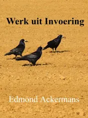 Omslag van Werk uit invoering