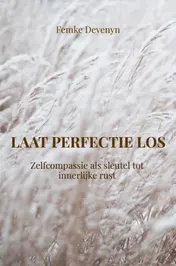 Omslag van Laat perfectie los