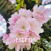 Omslag van Liefde