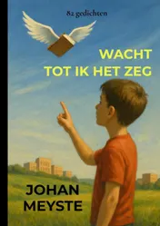 Omslag van Wacht tot ik het zeg