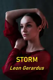 Omslag van Storm