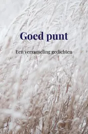 Omslag van Goed punt