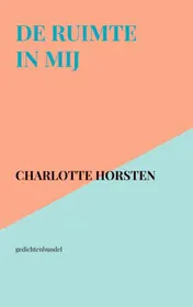 Omslag van De ruimte in mij