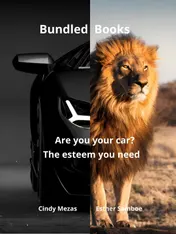 Omslag van Bundled Books: Are You Your Car? | The Esteem You Need