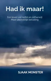 Omslag van Had ik maar!