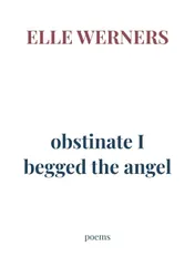 Omslag van obstinate I begged the angel