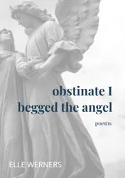 Omslag van obstinate I begged the angel
