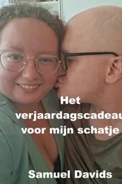 Omslag van Het verjaardagscadeau voor mijn schatje