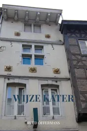Omslag van Wijze kater