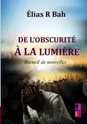 Omslag van De l’obscurité à la lumière