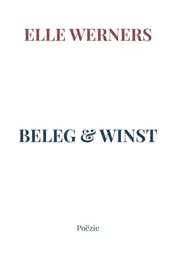 Omslag van BELEG & WINST