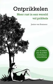 Omslag van Ontprikkelen