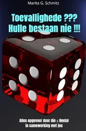 Omslag van Toevallighede ??? Hulle bestaan nie !!!
