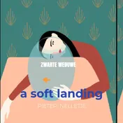 Omslag van a soft landing