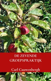 Omslag van De zevende groepspraktijk