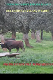 Omslag van DEL CAMPO A LA PLAZA 2ª PARTE