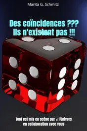 Omslag van Des coïncidences ??? Ils n'existent pas !!!