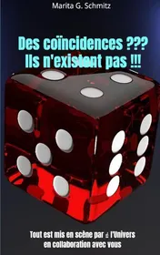 Omslag van Des coïncidences ??? Ils n'existent pas !!!