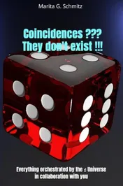 Omslag van Coincidences ??? They don't exist !!!