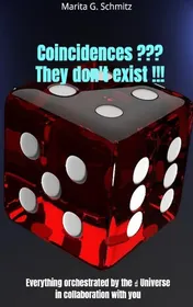 Omslag van Coincidences ??? They don't exist !!!