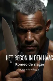 Omslag van Het begon in Den Haag