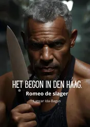 Omslag van Het begon in Den Haag