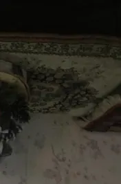 Omslag van het meisje dat kerst vierd