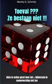 Omslag van Toeval ??? Ze bestaan niet !!!