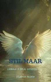 Omslag van Stil maar