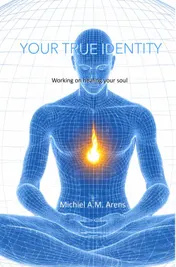 Omslag van Your True Identity
