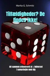 Omslag van Tilfældigheder? De findes ikke!