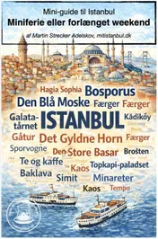 Omslag van Mini-guide til Istanbul: Miniferie eller forlænget weekend