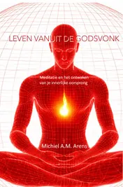 Omslag van Leven vanuit de Godsvonk