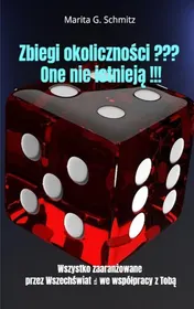 Omslag van Zbiegi okoliczności ??? One nie istnieją !!!