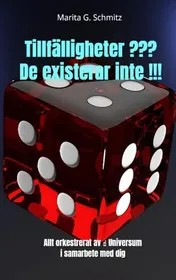 Omslag van Tillfälligheter ??? De existerar inte !!!