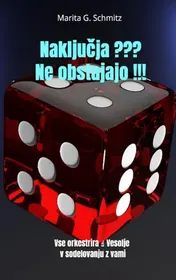 Omslag van Naključja ??? Ne obstajajo !!!