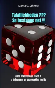 Omslag van Tafallichheden ??? Se besteane net !!!