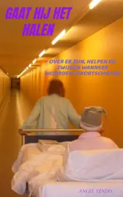 Omslag van Gaat hij het halen