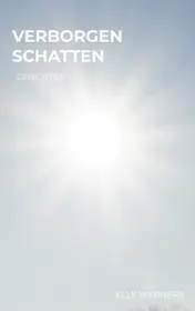 Omslag van Verborgen Schatten